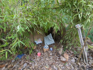 Unterm Bambus haben sich Kinder ein kleines Plätzchen eingerichtet